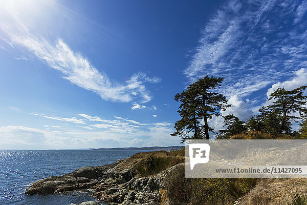 Blick von einem Wanderweg entlang der Küste von Esquitmalt an einem Nachmittag im Spätsommer  Vancouver Island; Esquitmalt  British Columbia  Kanada'.