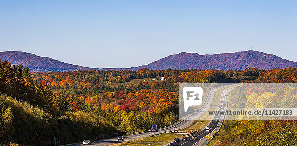 Herbstlich gefärbter Wald entlang der Autoroute 10  östliche Ortschaften; South Stukely  Quebec  Kanada'.