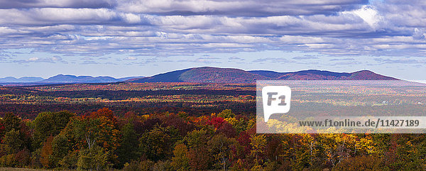 Bergkette in Herbstfarben mit herbstlich gefärbtem Wald im Vordergrund; West Bolton  Quebec  Kanada'.