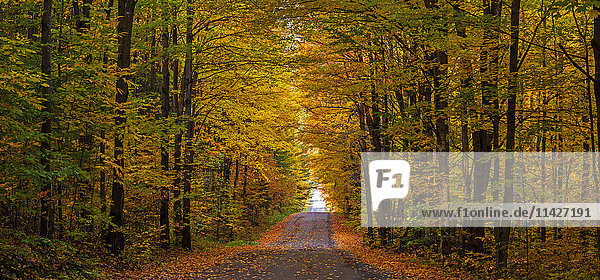 Panorama einer Landstraße im Herbst; Iron Hill  Quebec  Kanada'.