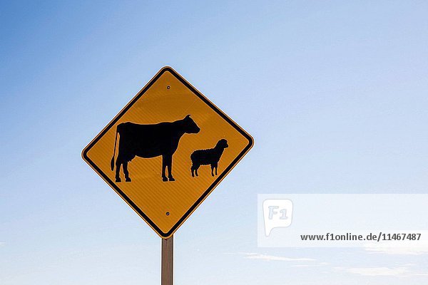 Livestock crossing road sign. Flinders Ranges  South Australia  Australia. (Photo by: Auscape/UIG)