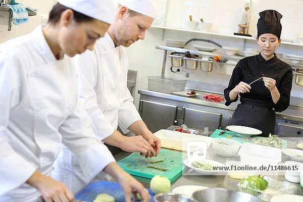 Chefs,  Cooks in cooking school,  Cuisine School,  Donostia,  San Sebastian,  Gipuzkoa,  Basque Country,  Spain,  Europe