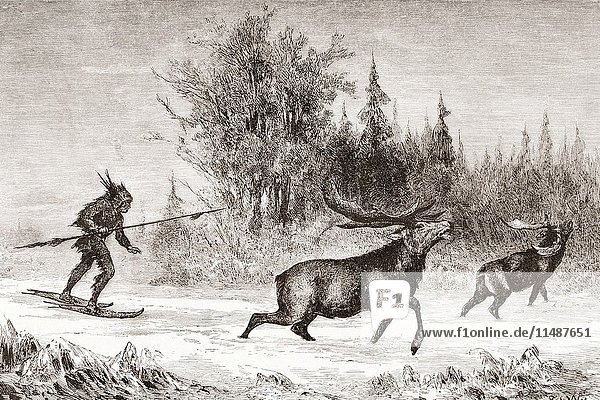 Hunting moose in the North Western Territory in 1870s. From American Pictures Drawn With Pen And Pencil by Rev Samuel Manning circa 1880.