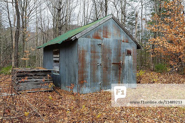Metal shed in the forest of Hastings  Maine during the autumn months.