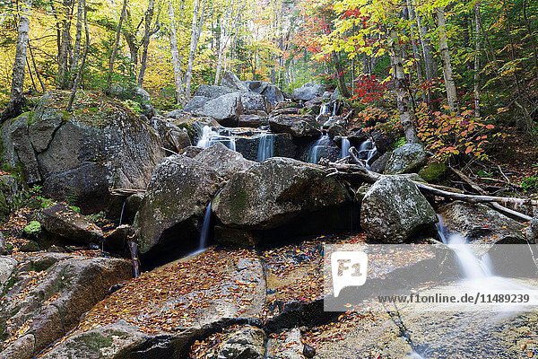 Whitewall Brook in Bethlehem  New Hampshire USA on a foggy autumn morning.
