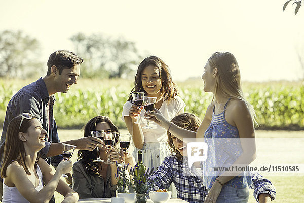 Friends enjoying glass of wine at vineyard