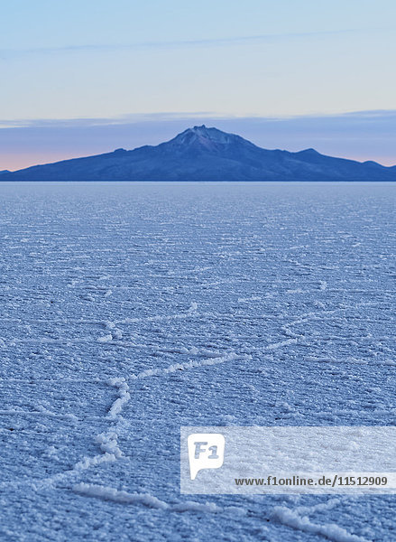 Blick auf den Salar de Uyuni  den größten Salzsee der Welt  bei Sonnenaufgang  Provinz Daniel Campos  Departement Potosi  Bolivien  Südamerika