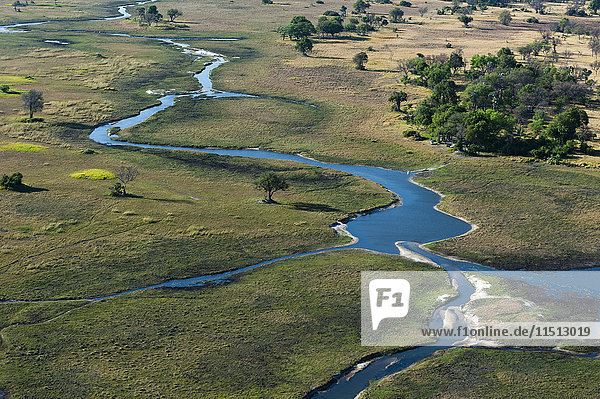 Aerial view of the Okavango Delta  Botswana  Africa