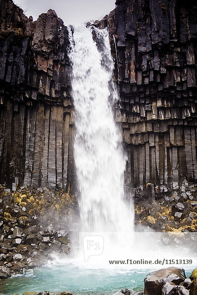 Svartifoss-Wasserfall im Vatnajokull-Nationalpark  Island  Polarregionen