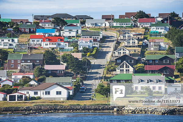 Bunte Häuser  Stanley  Hauptstadt der Falklandinseln  Südamerika