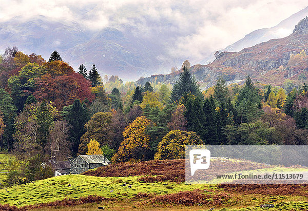 Herbstlicher Blick auf das malerische Langdale Valley  Lake District National Park  Cumbria  England  Vereinigtes Königreich  Europa