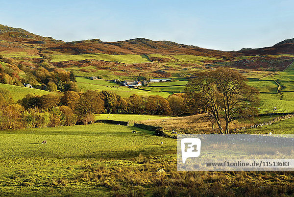 Herbstlicher Blick auf das malerische Duddon Valley  Lake District National Park  Cumbria  England  Vereinigtes Königreich  Europa