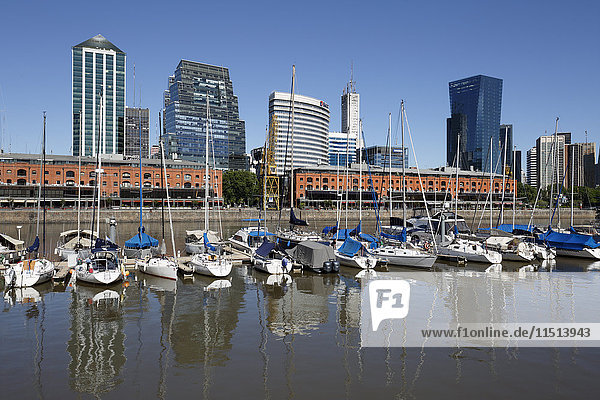 Old warehouses and office buildings from marina of Puerto Madero  San Telmo  Buenos Aires  Argentina  South America