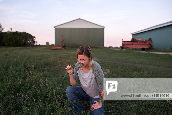 Frau auf dem Bauernhof  hockend  riechende Pflanze
