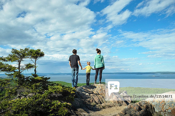 Rückansicht einer Familie  die Händchen hält und auf das Meer blickt  Bar Harbor  Maine
