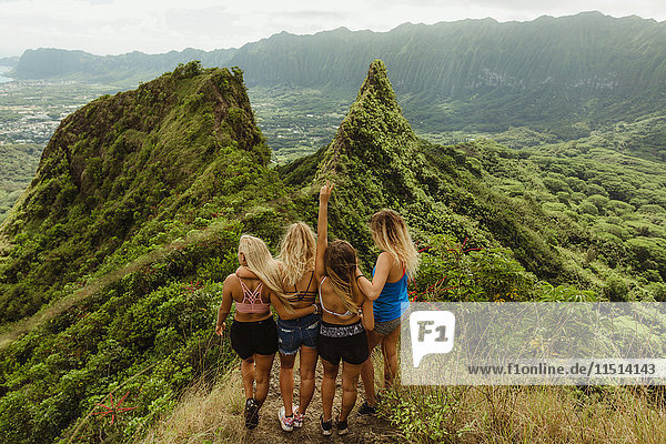 Rückansicht von Freunden auf grasbedecktem Berg  Oahu  Hawaii  USA