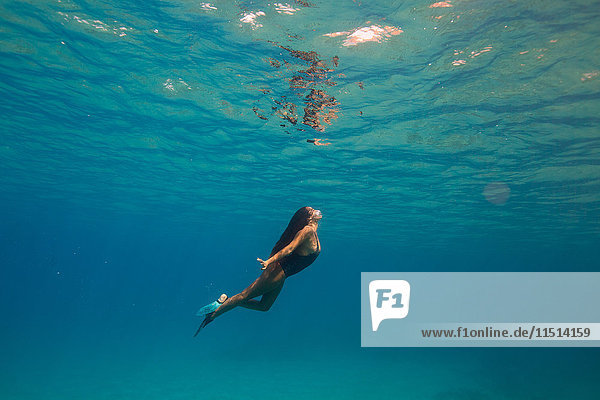 Frau schwimmt unter Wasser  Oahu  Hawaii  USA