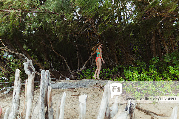 Junge Frau im Bikini im Wald  Oahu  Hawaii  USA