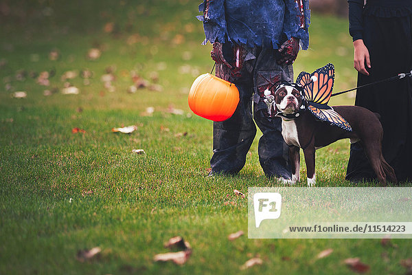 Freunde in Halloween-Kostümen mit Hund als Schmetterling verkleidet
