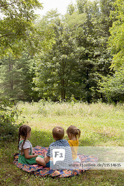 Drei kleine Kinder sitzen auf einer Decke im Feld
