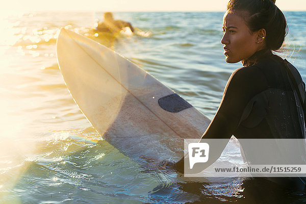 Young female surfer wading in sea  Newport Beach  California  USA