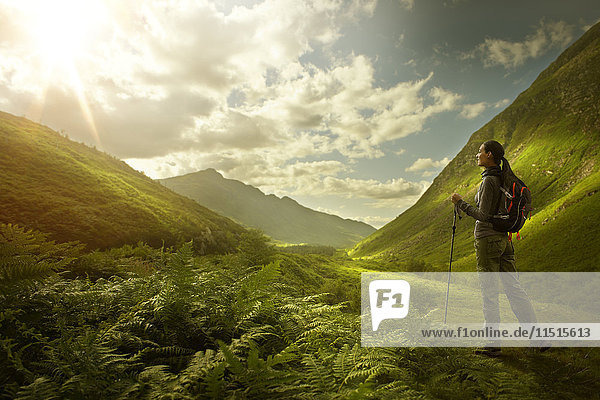 Kaukasische Frau beim Wandern im grünen Tal