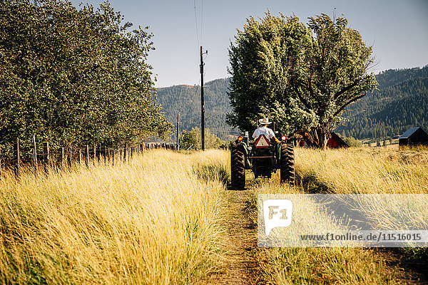 Kaukasischer Bauer fährt Traktor