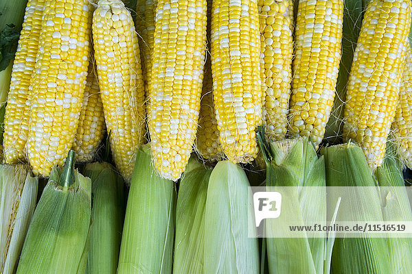 Fresh corn at market