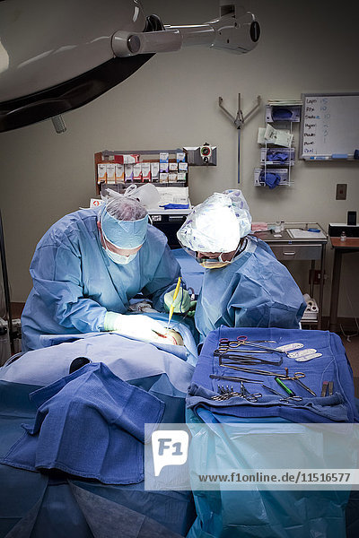 Chirurgen operieren einen Patienten im Krankenhaus