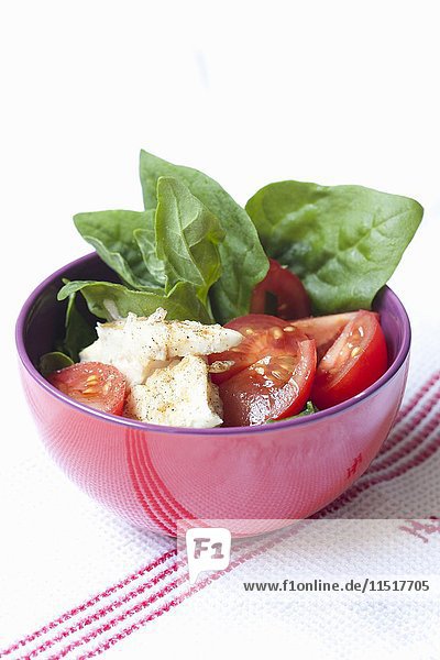 Tomatensalat mit neuseeländischem Spinat und Barschfilet