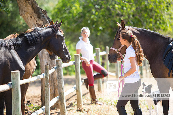 Weibliche Stallknechte führen Pferd in ländliche Ställe auf die Koppel