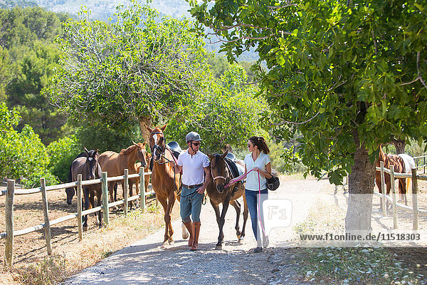Männliche und weibliche Stallknechte  die Pferde von der Koppel in ländlichen Ställen führen