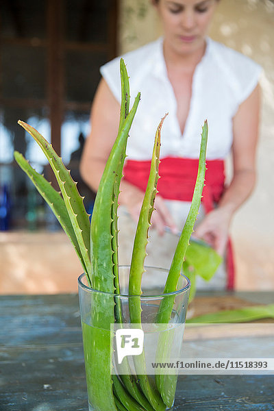 Frau kratzt Flüssigkeit vom Aloe-Blatt in Werkstatt für handgemachte Seife