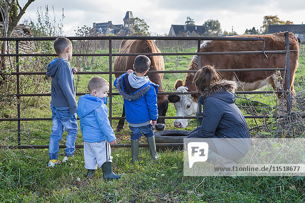 Mutter und Söhne schauen die Kühe durch das Tor an