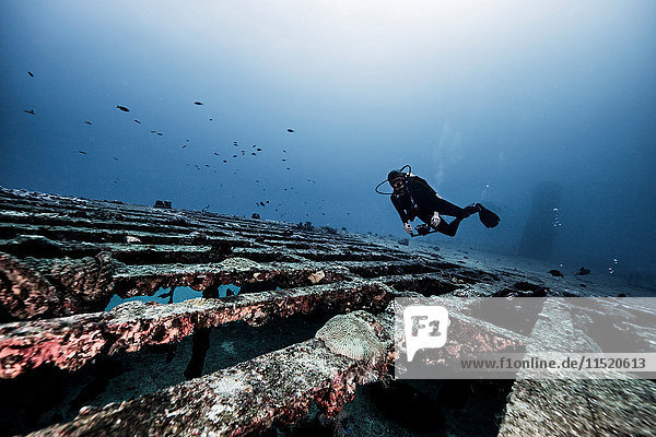 Diver exploring shipwreck  underwater view  Cancun  Mexico