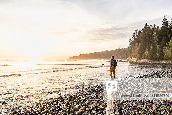 Man looking out from driftwood log on beach in Juan de Fuca Provincial Park Vancouver Island British Columbia Canada