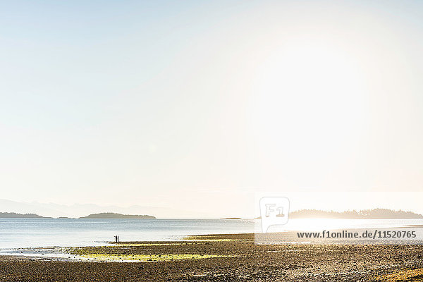 Distant view of couple on beach at Rathrevor Beach Provincial Park Vancouver Island British Columbia Canada
