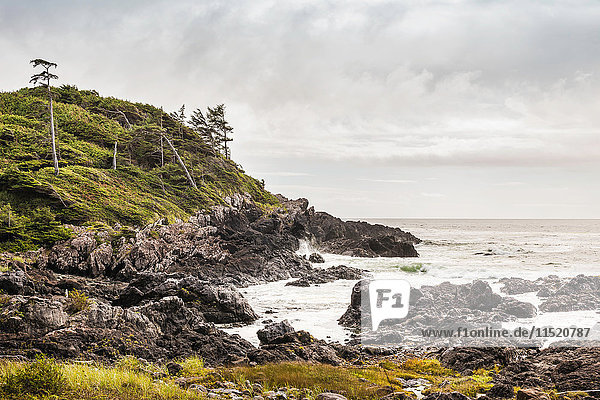 Rugged coastal landscape,  Wild Pacific Trail,  Vancouver Island,  British Columbia,  Canada