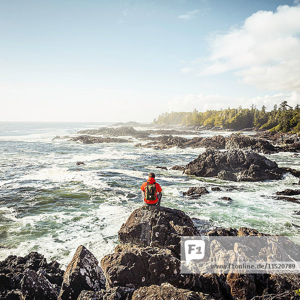 Male hiker looking out to sea from rocky coast  Wild Pacific Trail  Vancouver Island  British Columbia  Canada