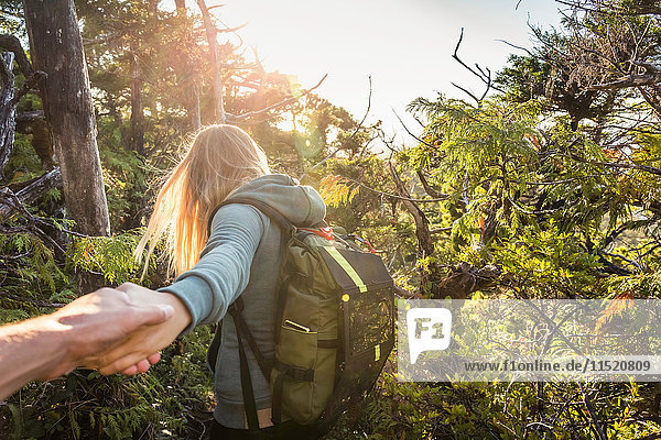 Female hiker leading boyfriend through forest Pacific Rim National Park Vancouver Island British Columbia Canada
