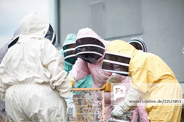 Gruppe von Imkern  die den Bienenstock inspizieren