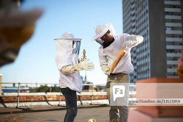 Imker diskutieren über Honigwaben auf dem Stadtdach