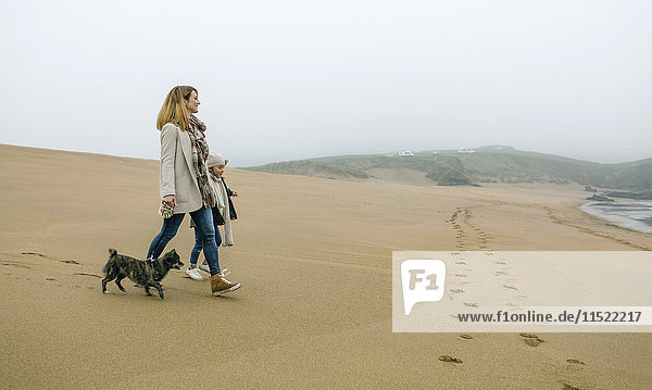Frau geht mit Tochter und Hund an einem nebligen Wintertag am Strand spazieren.