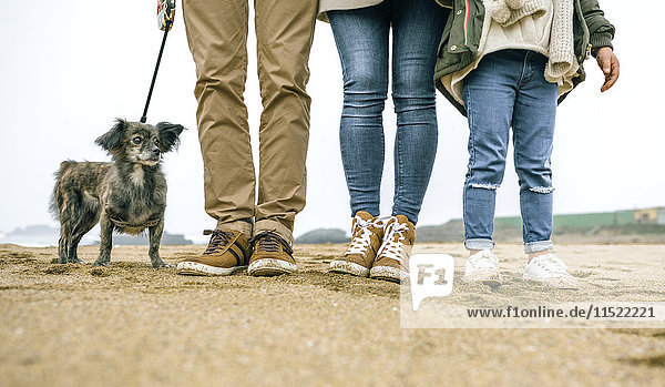 Niedriger Familienteil mit Hund  der im Winter am Strand steht.