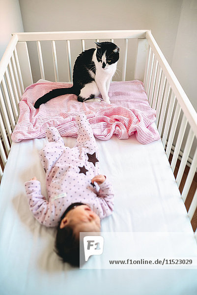 Newborn baby girl lying in crib with a cat