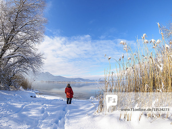 Deutschland  Bayern  Kochel am See  Frau stehend am Kochelsee im Winter