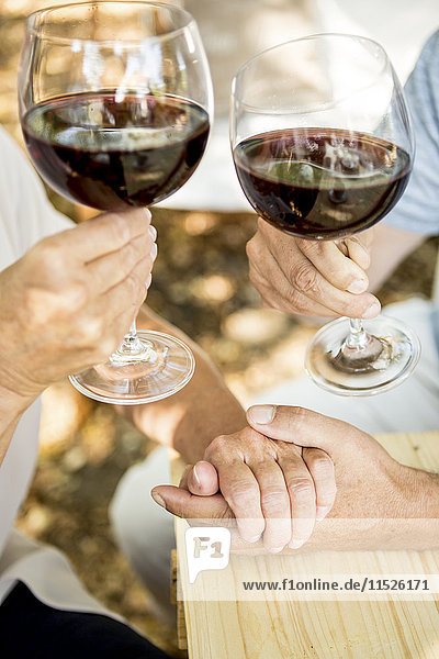Close-up of senior couple having glass of red wine and holding hands outdoors