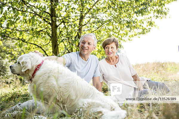 Senior couple with dog in meadow
