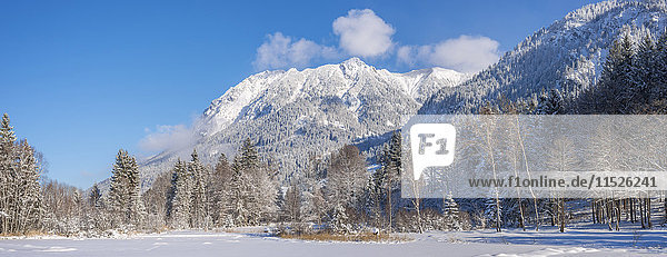 Deutschland  Oberstdorf  Moorweiher mit Rubihorn  Gaisalphorn und Schattenberg im Winter