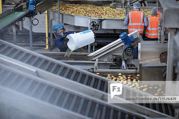 Arbeiter mit Schutzmaske im Apfelvertrieb